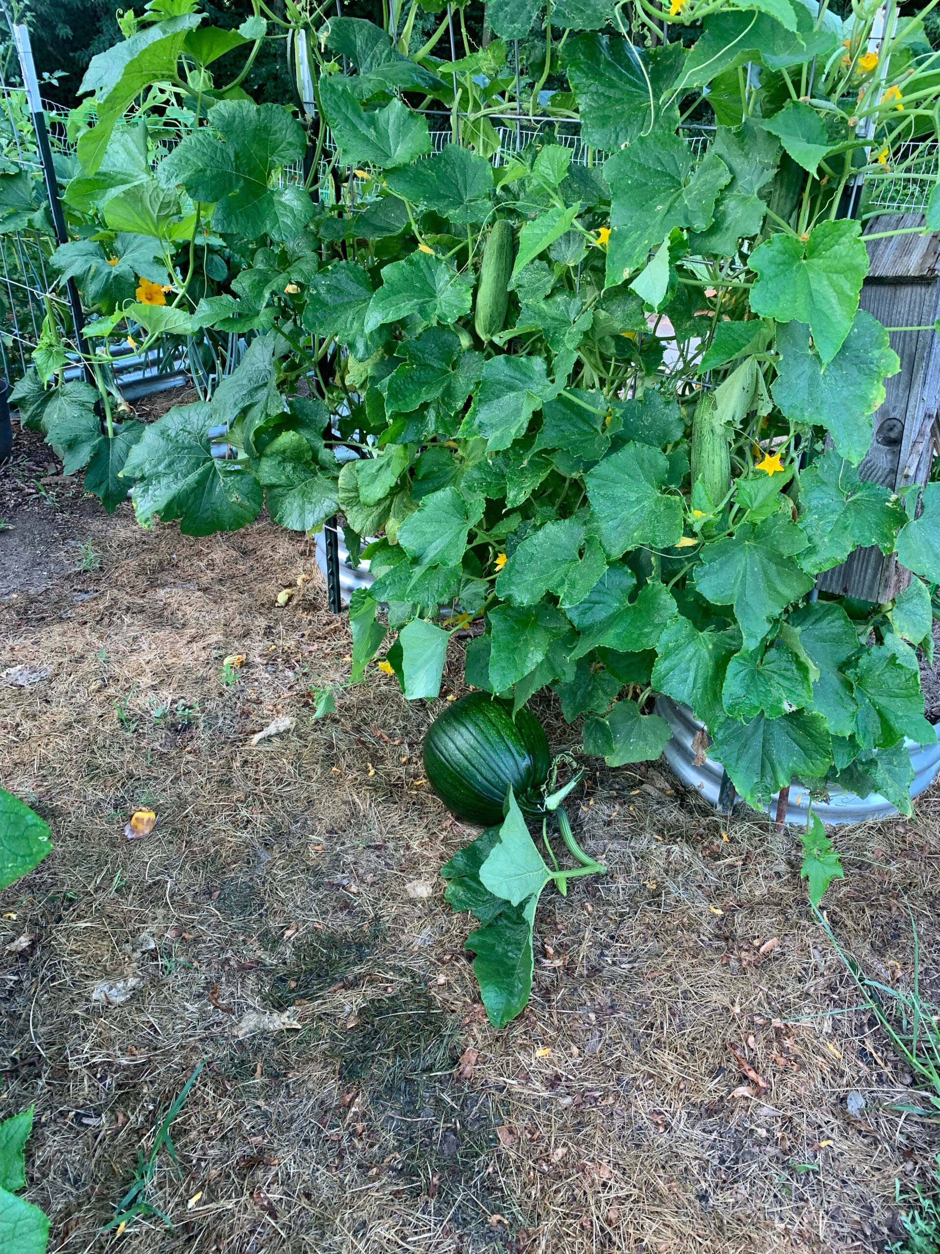 77401547385__F5642784-2A4B-4DFB-ABF6-15E9F86D6177